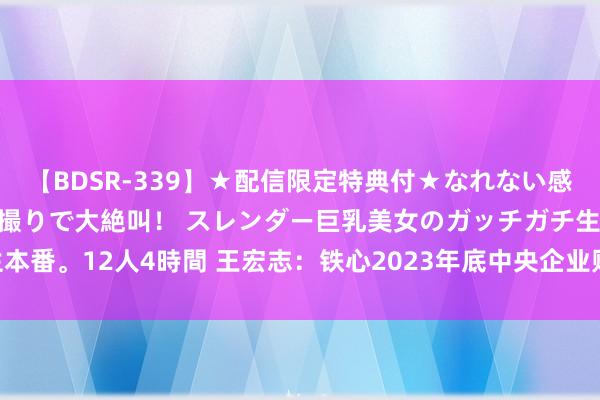 【BDSR-339】★配信限定特典付★なれない感じの新人ちゃんが初ハメ撮りで大絶叫！ スレンダー巨乳美女のガッチガチ生本番。12人4時間 王宏志：铁心2023年底中央企业财富总数达到86.6万亿元