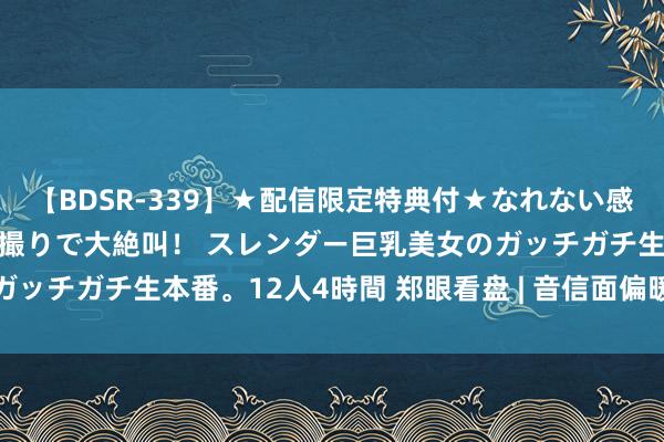 【BDSR-339】★配信限定特典付★なれない感じの新人ちゃんが初ハメ撮りで大絶叫！ スレンダー巨乳美女のガッチガチ生本番。12人4時間 郑眼看盘 | 音信面偏暖， A股小升