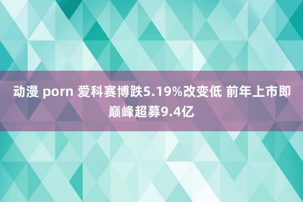 动漫 porn 爱科赛博跌5.19%改变低 前年上市即巅峰超募9.4亿