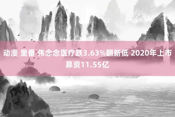 动漫 里番 伟念念医疗跌3.63%翻新低 2020年上市募资11.55亿