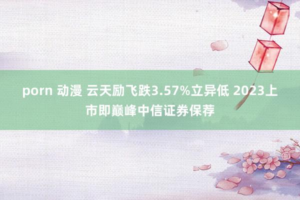 porn 动漫 云天励飞跌3.57%立异低 2023上市即巅峰中信证券保荐