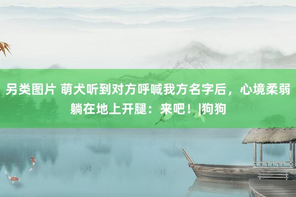 另类图片 萌犬听到对方呼喊我方名字后，心境柔弱躺在地上开腿：来吧！|狗狗